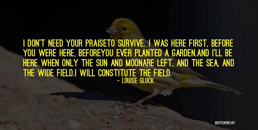 Sun Poetry Quotes By Louise Gluck Sun Poetry Quotes By Louise Gluck