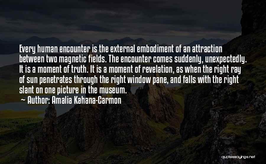 Sun Ray Quotes By Amalia Kahana-Carmon