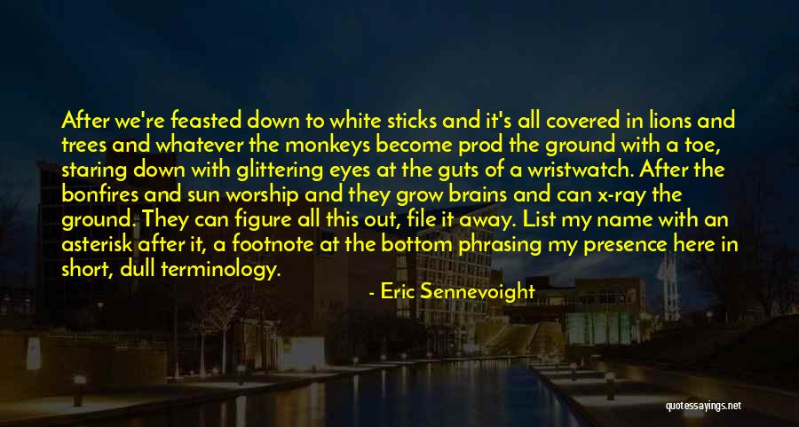 Sun Ray Quotes By Eric Sennevoight