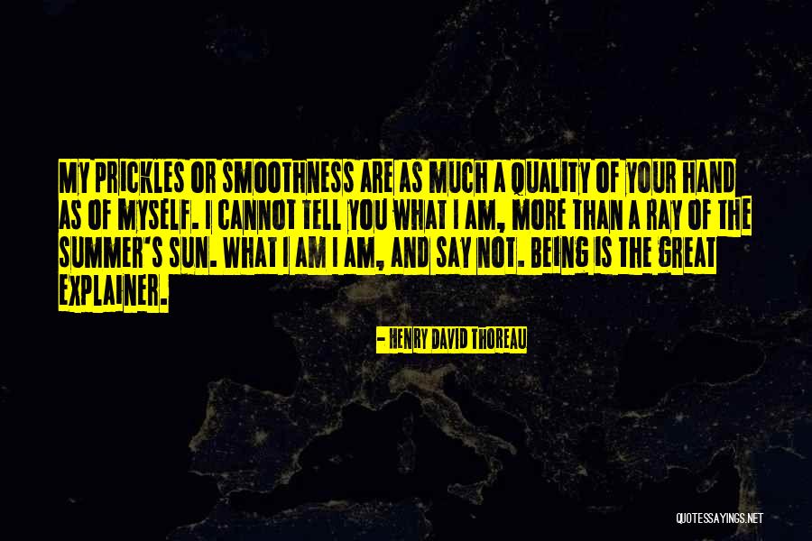 Sun Ray Quotes By Henry David Thoreau Sun Ray Quotes By Henry David Thoreau
