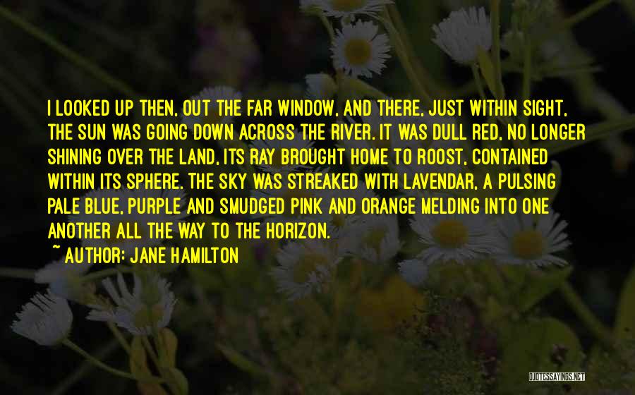 Sun Ray Quotes By Jane Hamilton