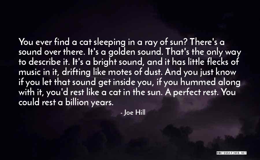 Sun Ray Quotes By Joe Hill