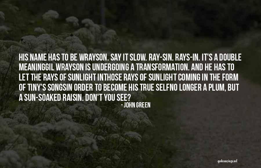 Sun Ray Quotes By John Green Sun Ray Quotes By John Green