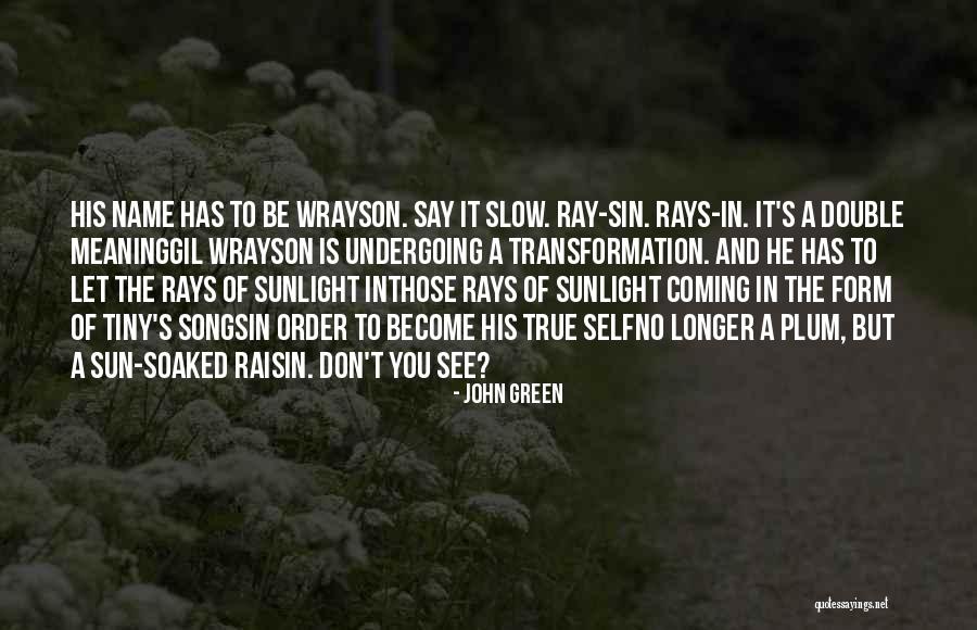 Sun Ray Quotes By John Green