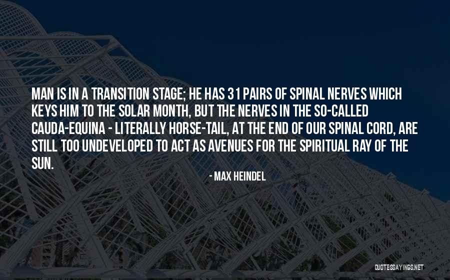 Sun Ray Quotes By Max Heindel Sun Ray Quotes By Max Heindel
