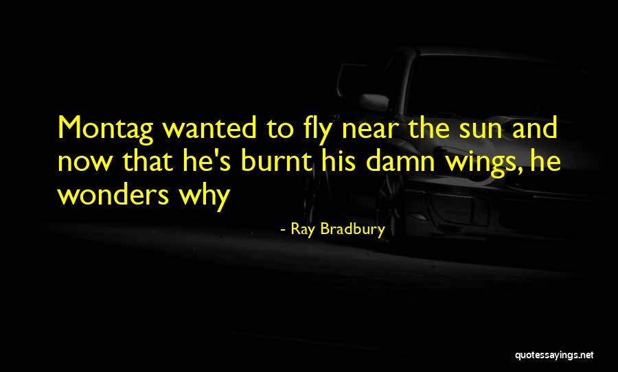 Sun Ray Quotes By Ray Bradbury Sun Ray Quotes By Ray Bradbury