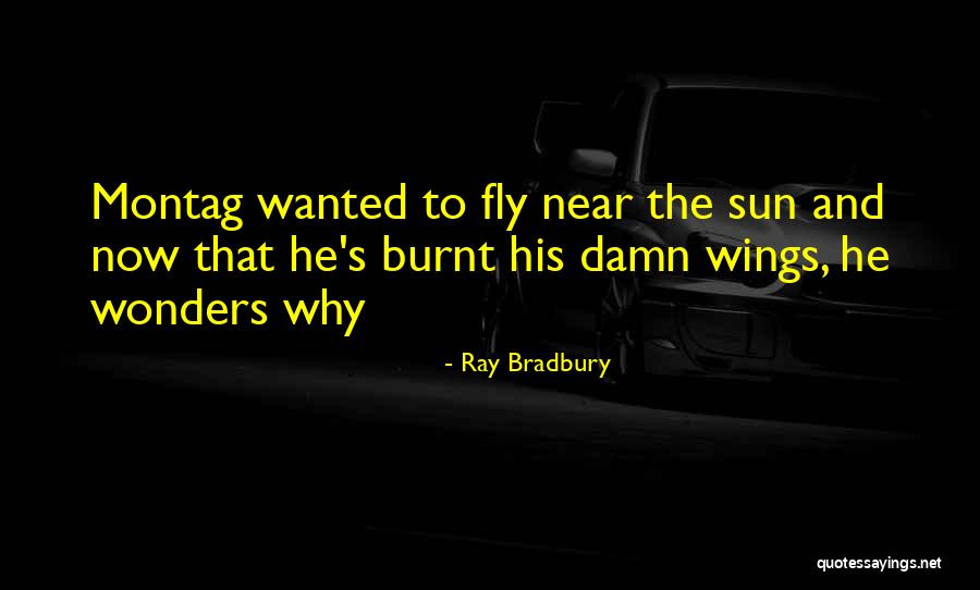 Sun Ray Quotes By Ray Bradbury