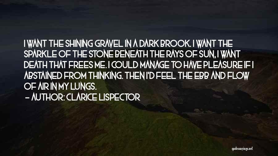 Sun Rays Quotes By Clarice Lispector