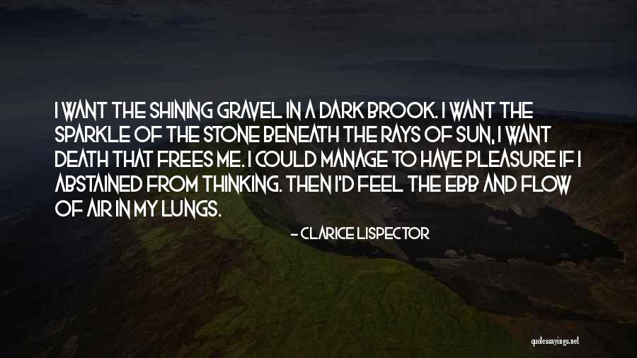 Sun Rays Quotes By Clarice Lispector