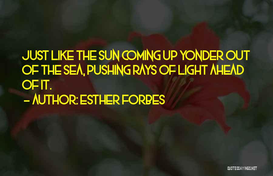 Sun Rays Quotes By Esther Forbes