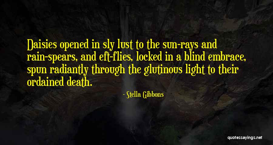 Sun Rays Quotes By Stella Gibbons