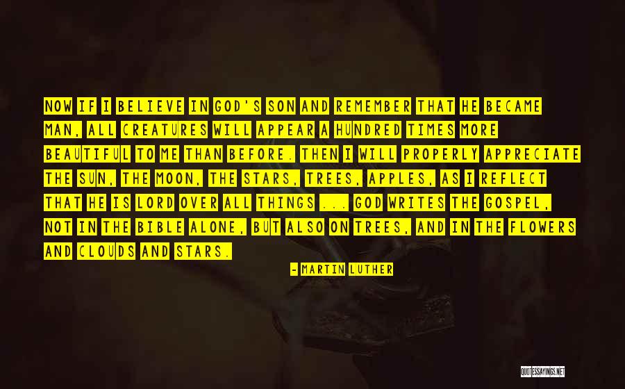 Sun Reflect Quotes By Martin Luther Sun Reflect Quotes By Martin Luther
