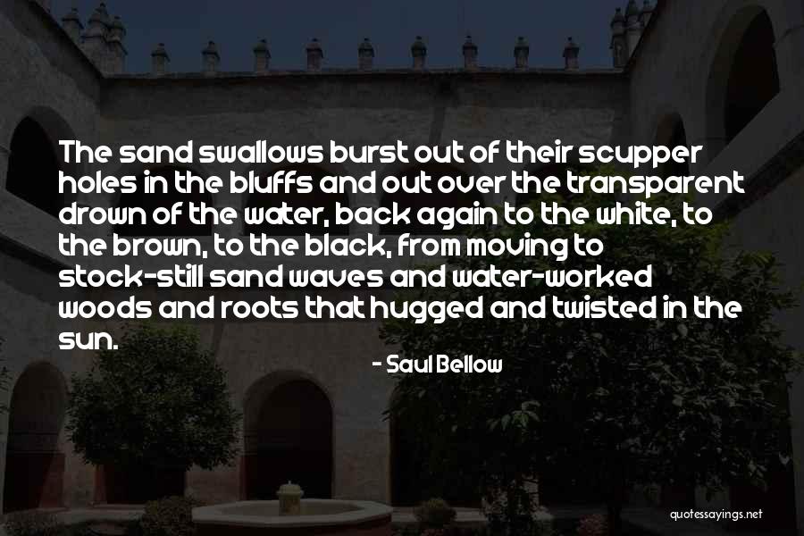Sun Sand Quotes By Saul Bellow Sun Sand Quotes By Saul Bellow