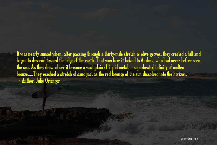 Sun Sea Sand Quotes By Julie Orringer