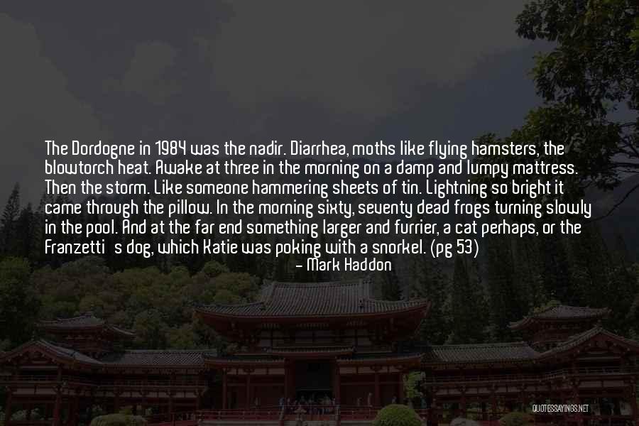 Sun Seeping In Through Windows Quotes By Mark Haddon Sun Seeping In Through Windows Quotes By Mark Haddon