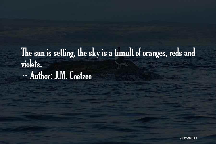 Sun Setting Quotes By J.M. Coetzee