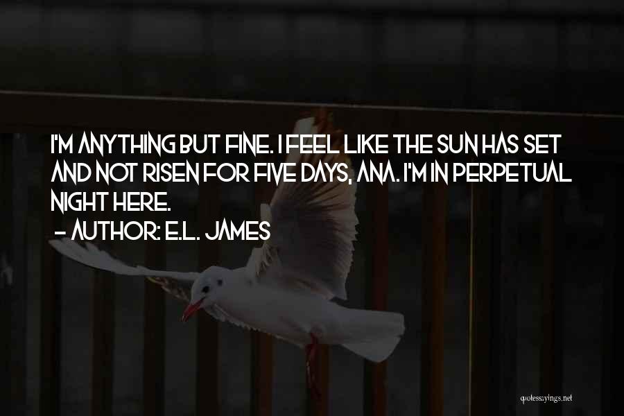 Sun Shades Quotes By E.L. James