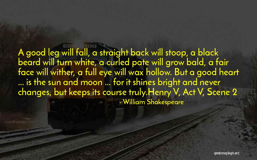 Sun Shines Bright Quotes By William Shakespeare Sun Shines Bright Quotes By William Shakespeare