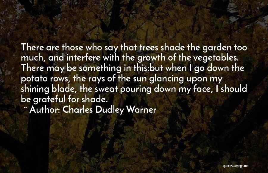 Sun Shining On Your Face Quotes By Charles Dudley Warner