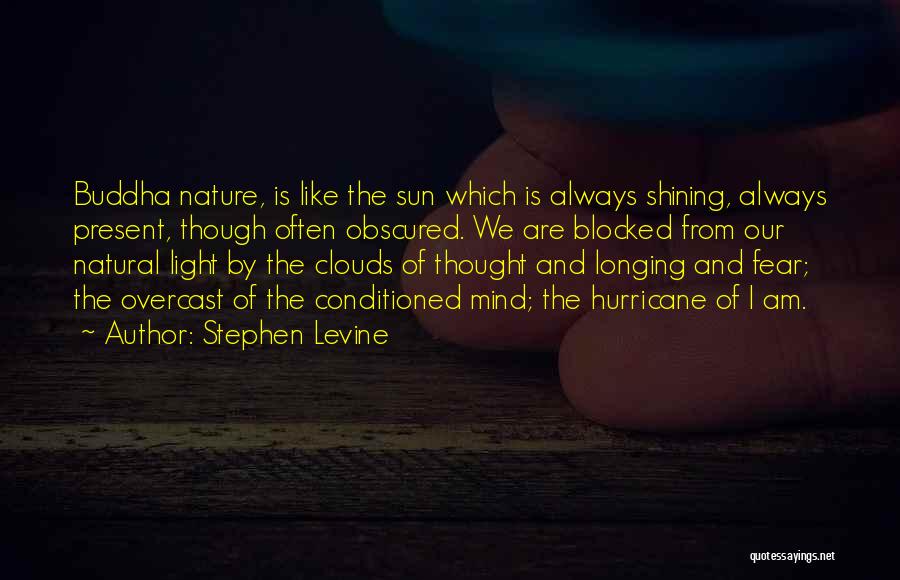 Sun Shining Quotes By Stephen Levine