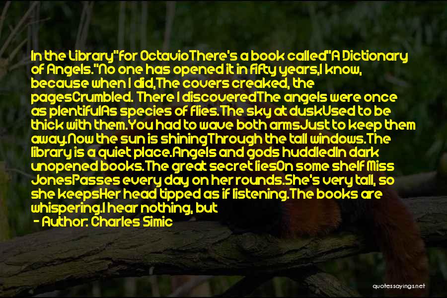 Sun Shining Through Quotes By Charles Simic