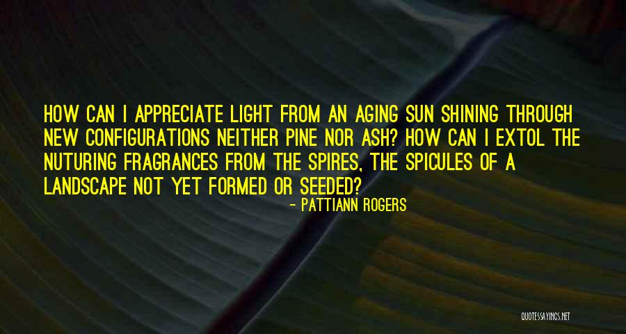 Sun Shining Through Quotes By Pattiann Rogers