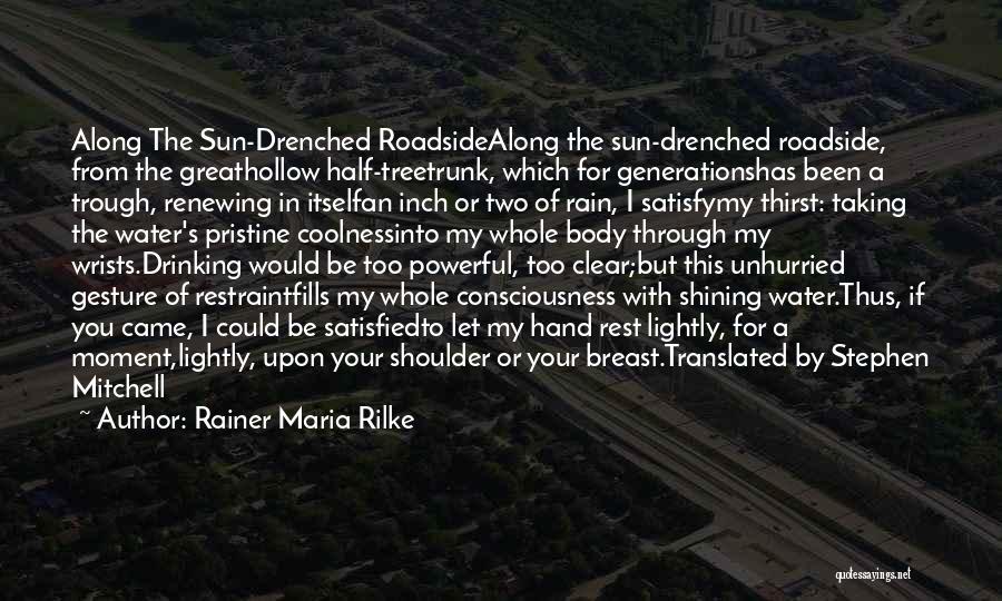Sun Shining Through Quotes By Rainer Maria Rilke