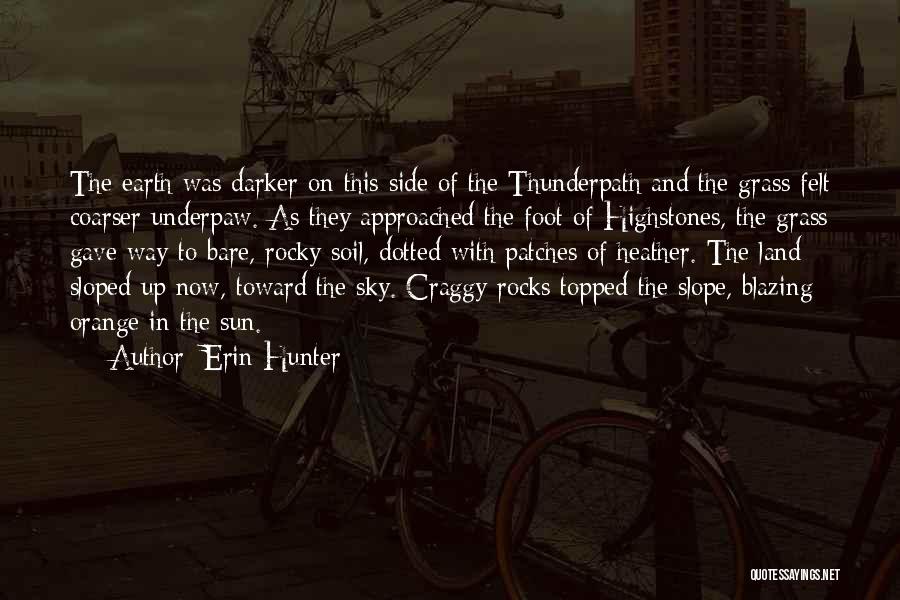 Sun Side Quotes By Erin Hunter