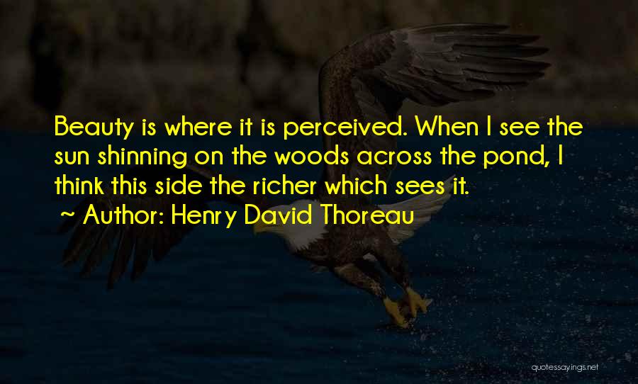 Sun Side Quotes By Henry David Thoreau