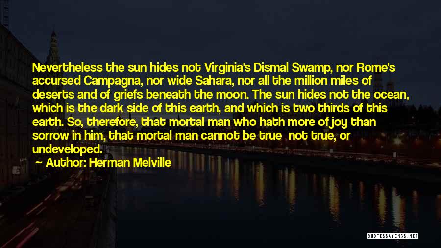 Sun Side Quotes By Herman Melville