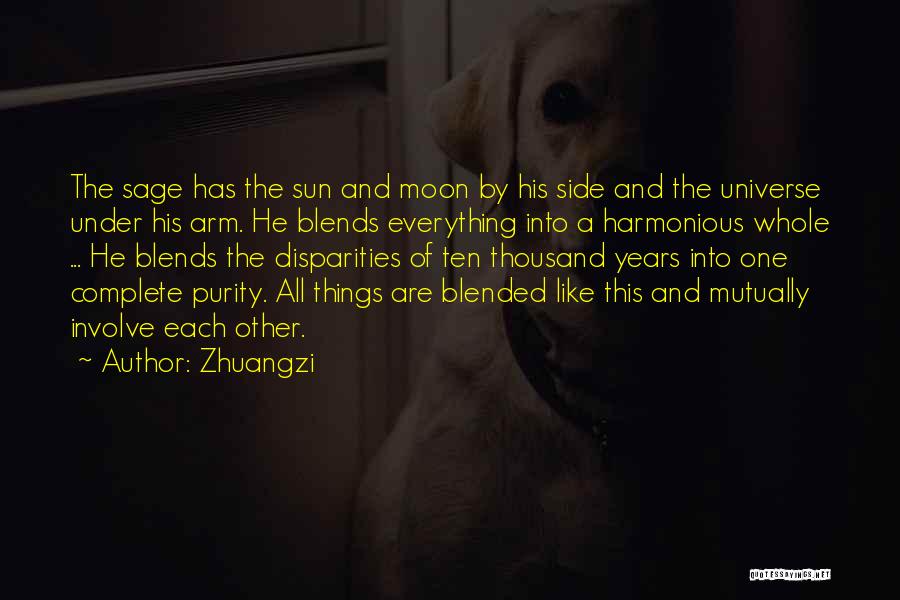 Sun Side Quotes By Zhuangzi