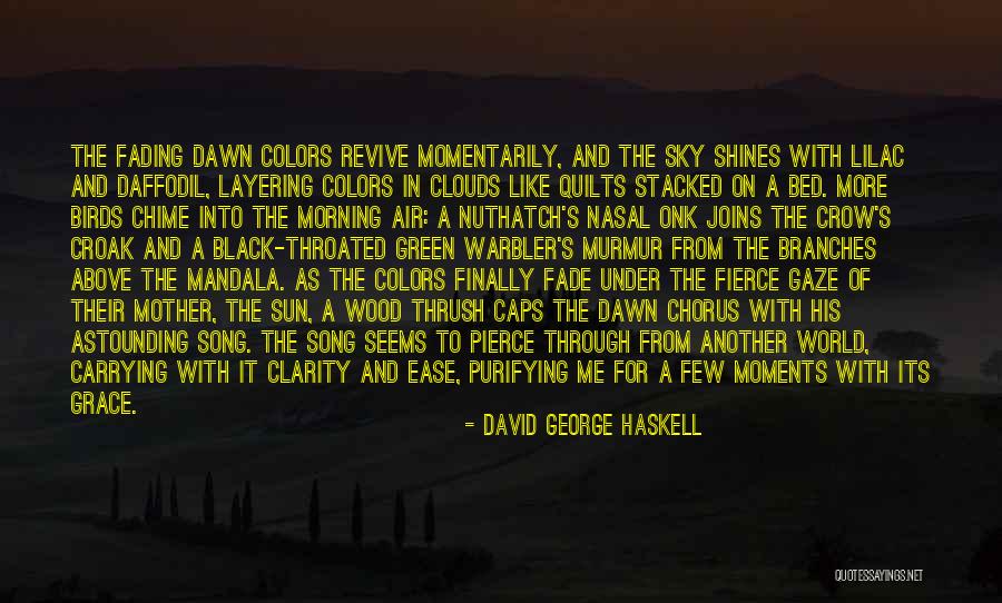 Sun Sky Clouds Quotes By David George Haskell