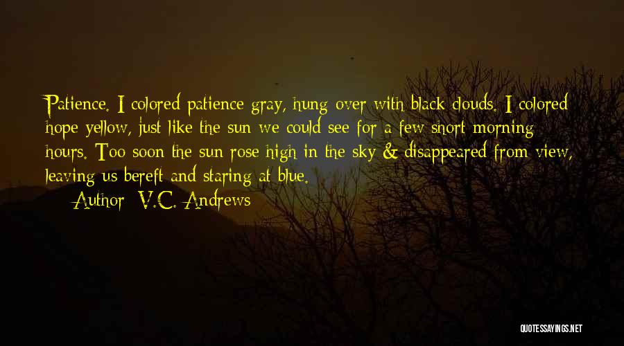 Sun Sky Clouds Quotes By V.C. Andrews