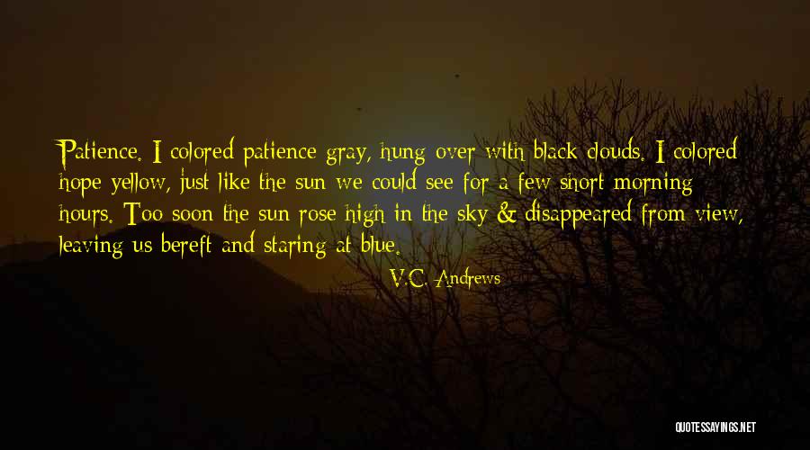 Sun Sky Clouds Quotes By V.C. Andrews