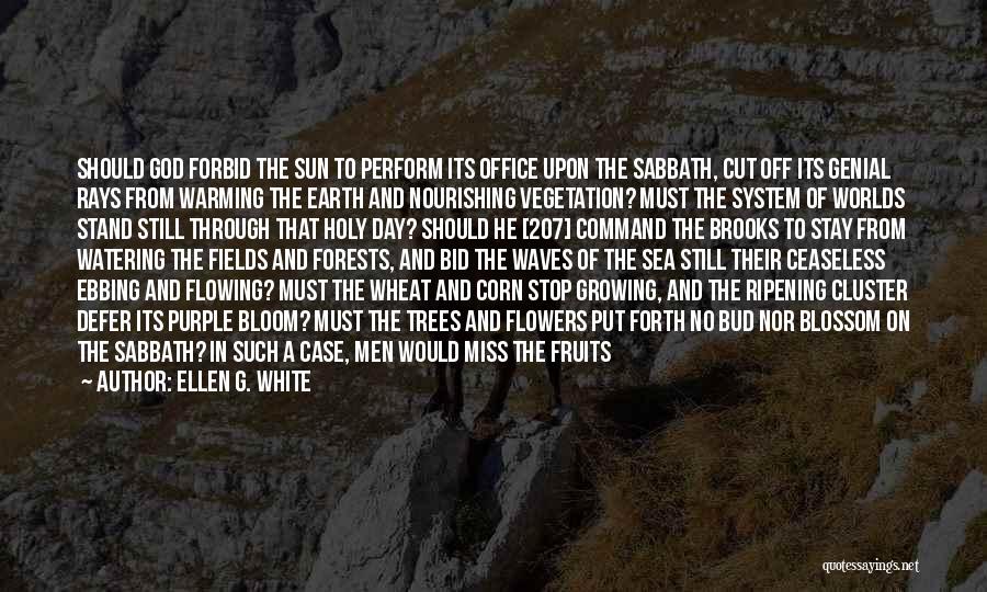 Sun Stand Still Quotes By Ellen G. White