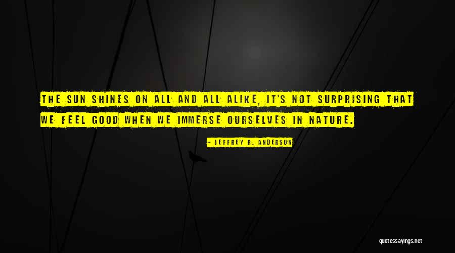 Sun Still Shines Quotes By Jeffrey R. Anderson Sun Still Shines Quotes By Jeffrey R. Anderson