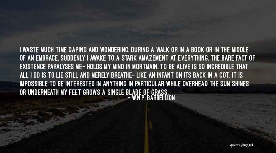 Sun Still Shines Quotes By W.N.P. Barbellion Sun Still Shines Quotes By W.N.P. Barbellion