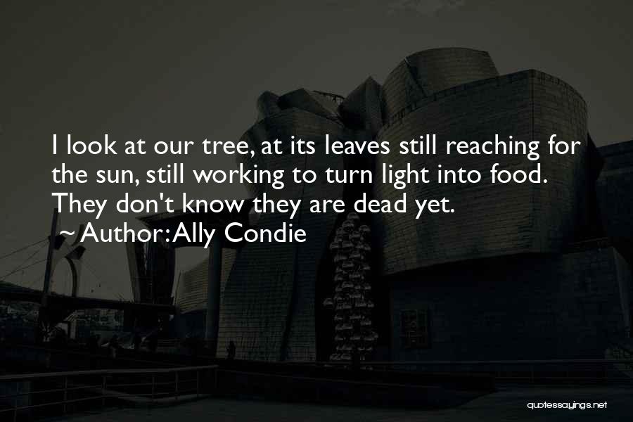 Sun Tree Quotes By Ally Condie