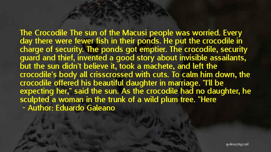 Sun Tree Quotes By Eduardo Galeano