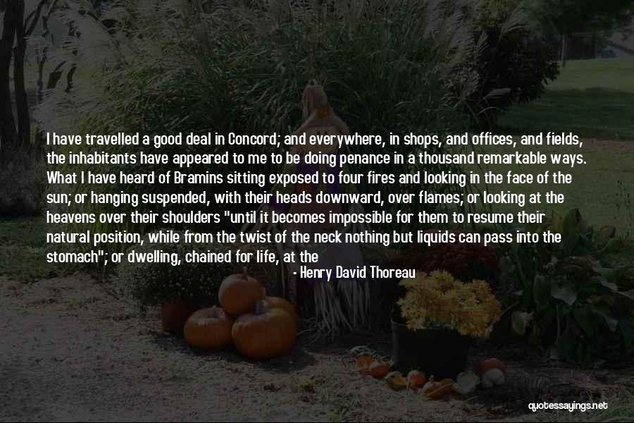 Sun Tree Quotes By Henry David Thoreau