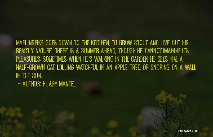 Sun Tree Quotes By Hilary Mantel
