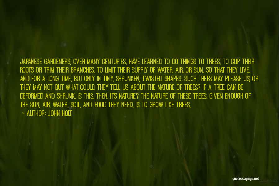 Sun Tree Quotes By John Holt