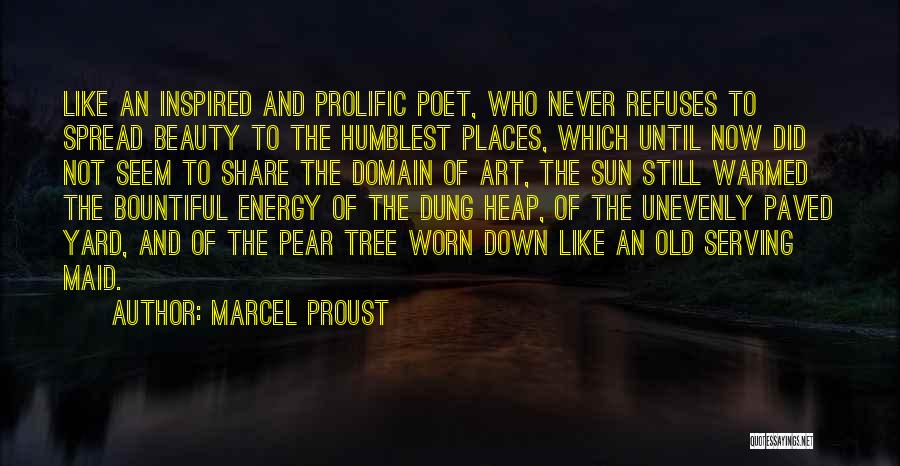 Sun Tree Quotes By Marcel Proust