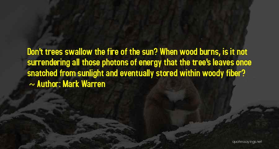 Sun Tree Quotes By Mark Warren