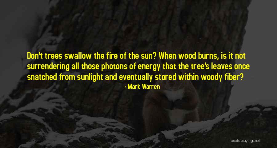 Sun Tree Quotes By Mark Warren