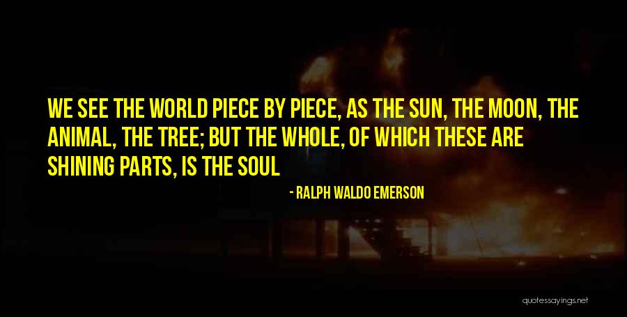 Sun Tree Quotes By Ralph Waldo Emerson