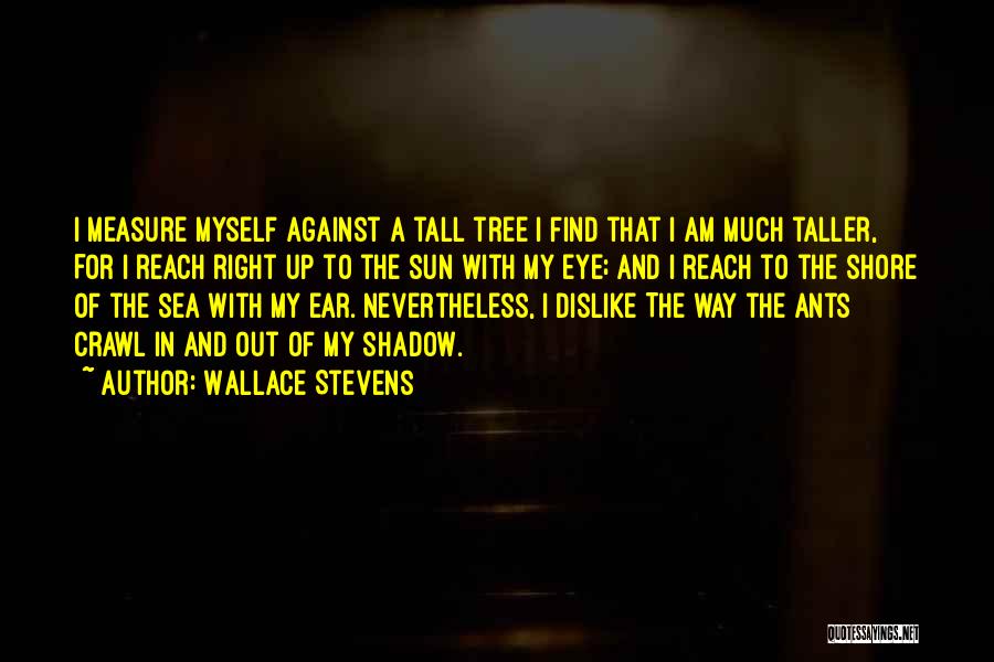 Sun Tree Quotes By Wallace Stevens