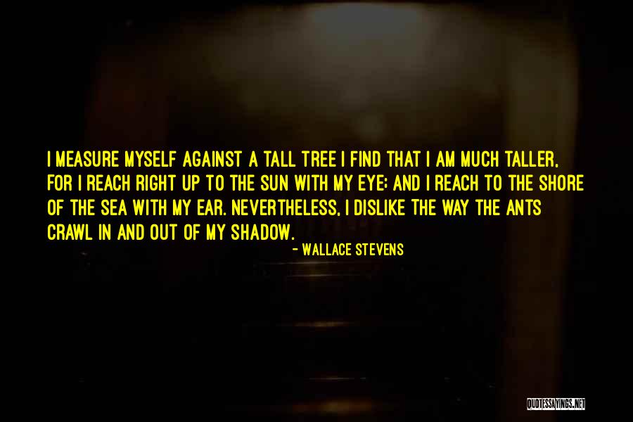 Sun Tree Quotes By Wallace Stevens