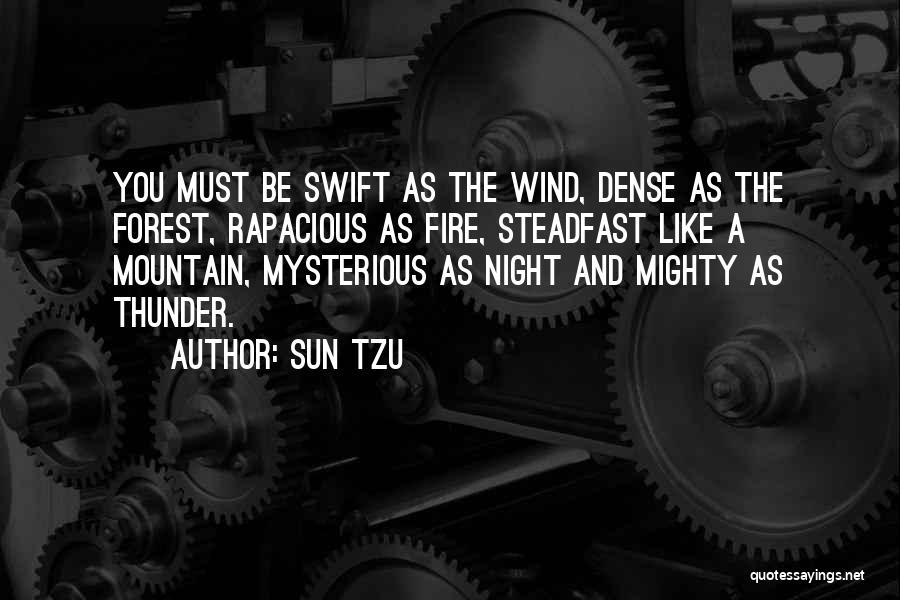 Sun Tzu Quotes 864180