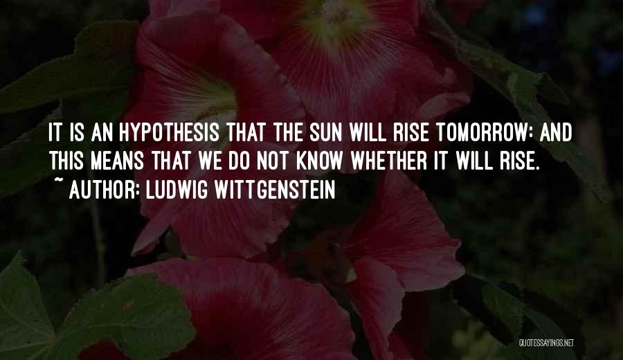 Sun Will Come Out Tomorrow Quotes By Ludwig Wittgenstein